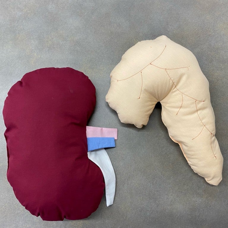 kidney plush pillow